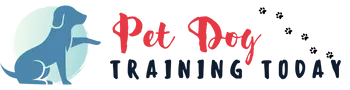 pet dog training today banner logo