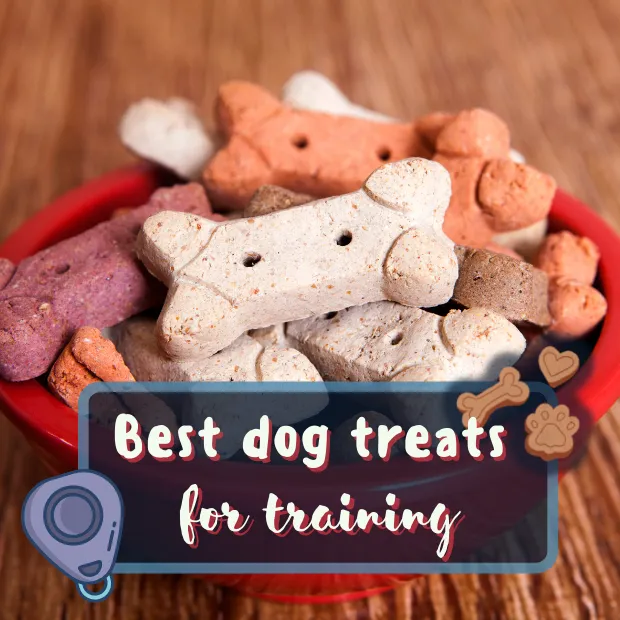 a bowl of dog biscuits with the caption best dog treats for training