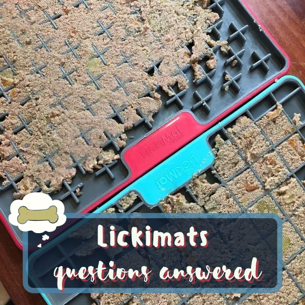 two dogs lickimats spread with wet dog food with the caption lickimats questions answered