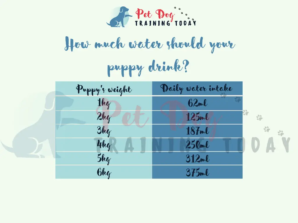 how much water should a puppy drink in a day