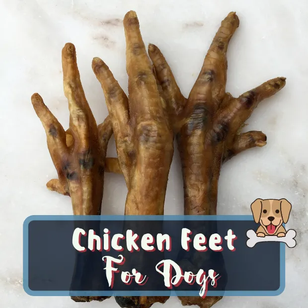 a picture of 3 dried chicken feet with the caption chicken feet for dogs