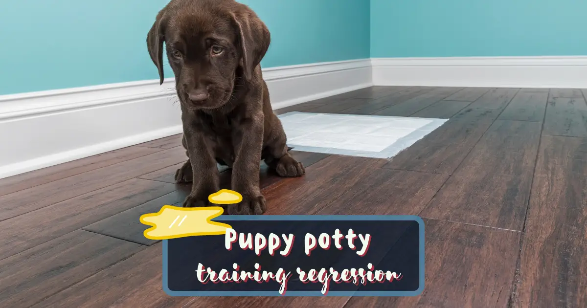 do-puppies-regress