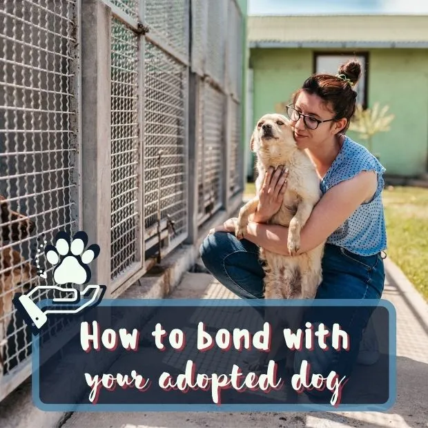 a lady hugging a dog at the pound with the caption How to bond with your adopted dog