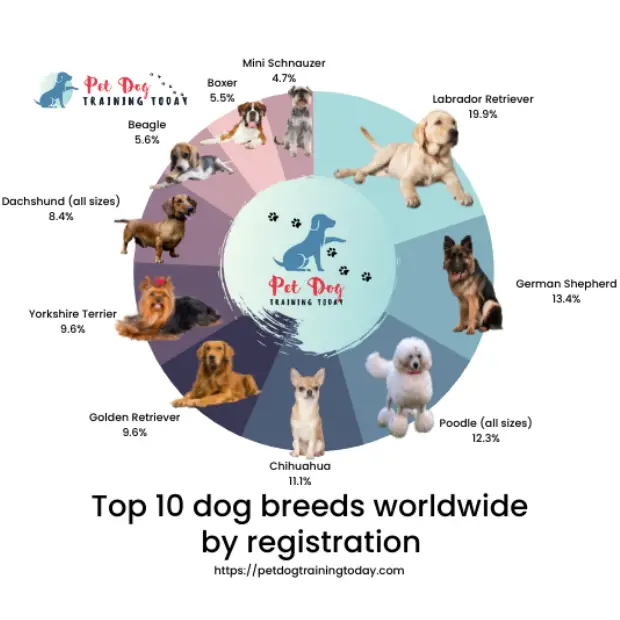 pie chart of the top 10 dog breeds worldwide by registration - Which dog is most popular in the world