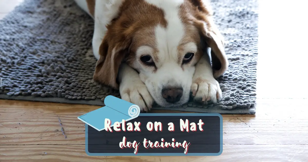 a dog on a mat with the caption relax on a mat dog training