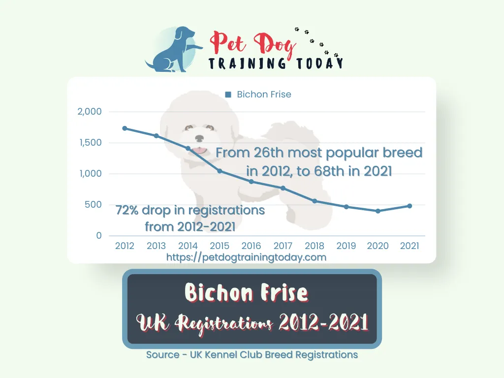 Bichon frise uk registration 2012-2021