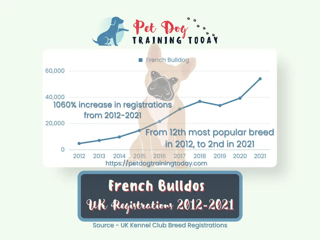 French bulldog uk registrations 2012-2021