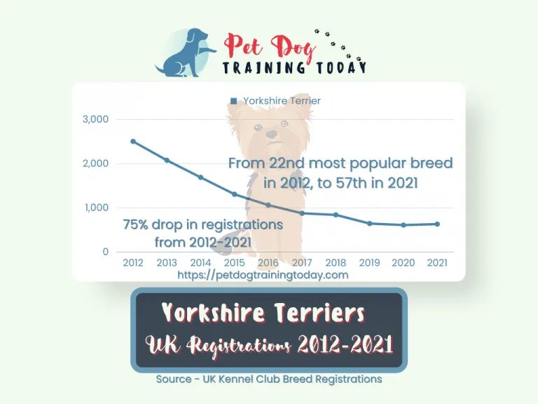 Yorkshire terriers, uk registration 2012-2021