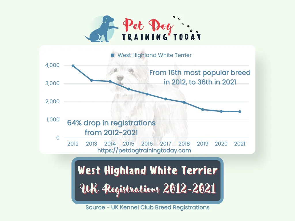 west highland white terrier uk registration 2012-2021 Westie Falling In Popularity